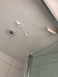 a ling bathroom wall or ceiling