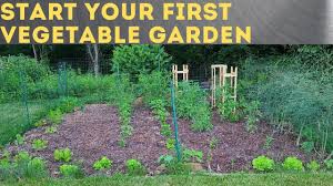 build an in ground vegetable garden