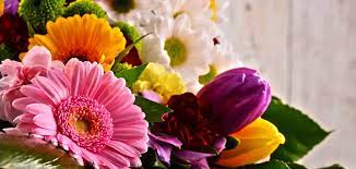 Топ-12 самых красивых цветов - Premium-Flowers.ru