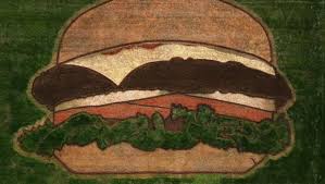 burger crop circle in nashville