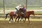 who-won-the-2009-kentucky-derby