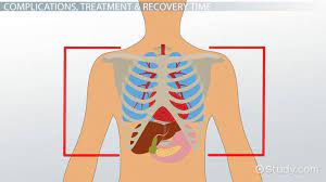 It lies just below the lungs, under the top of the diaphragm to which it is attached. Chest Contusion Complications Treatment Recovery Time Video Lesson Transcript Study Com