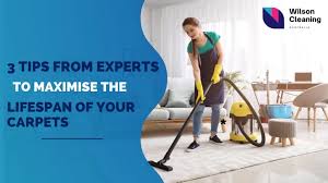 carpet cleaning archives wilson