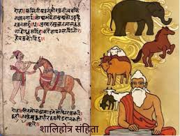 Dr Anadi Sahoo🇮🇳 on LinkedIn: #chhatrapatishivajimaharaj #shivajimaharaj  #shivajimaharajhistory #shivaji… | 10 comments