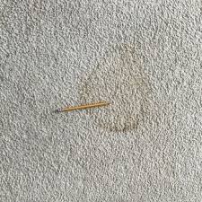carmel indiana carpet cleaning