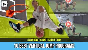 vertical jump training programs