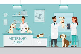 Boca veterinary clinic in boca raton offers a wide range of affordable vet services: Free Veterinary Clinic Vectors 1 000 Images In Ai Eps Format