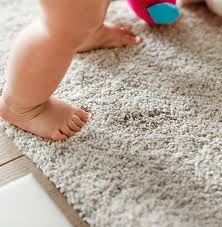area rug cleaning scarborough on