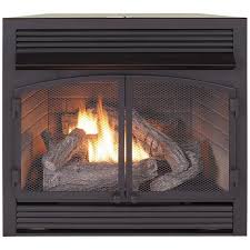 dual fuel ventless gas fireplace insert