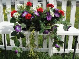 Maybe you would like to learn more about one of these? Purple Petunias Red And White Geranium Window Box Silk Etsy