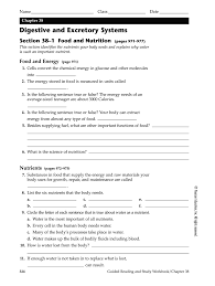 excretory systems packet answers book