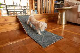 Diy Project How To Build A Dog Ramp
