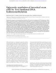 Epigenetic Regulation Of Intestinal Stem Cells By Tet1