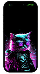 Cool Cat Oled Wallpaper 4k Iphone L