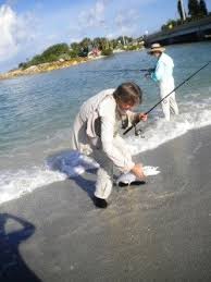 Blind Pass The Best Shelling And Fishing On Sanibel The