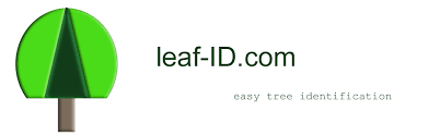 Leaf Id Com Tree Leaves