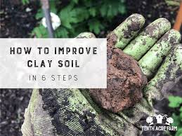 how to improve clay soil in 6 steps