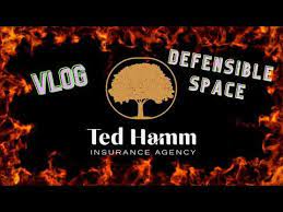 Ted Hamm Insurance Agency gambar png