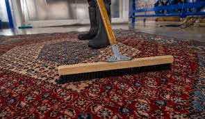 professional rug cleaning methods in