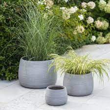 Large Garden Plant Pot Outdoor Plant