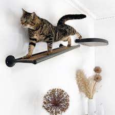 catipilla catwalk adaptable wall