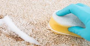 how to clean carpet the easy and