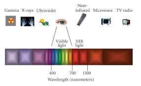 Each individual wavelength within the spectrum of visible light wavelengths is representative of a particular color. The Electromagnetic Spectrum Wavelengths Of Interest In This Paper Are Download Scientific Diagram
