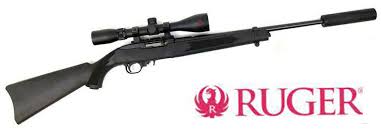 ruger 10 22 with 3 9x42 ranger scope