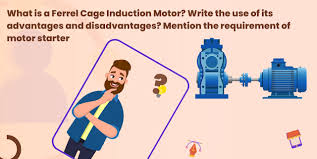 what is a ferrel cage induction motor