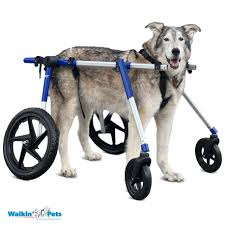 full support large dog wheelchairs