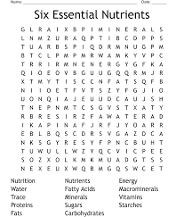 six essential nutrients word search
