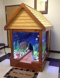 Creative Aquariums Ideas For Fish