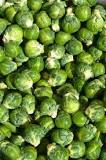 How much does 1 brussel sprout weigh?
