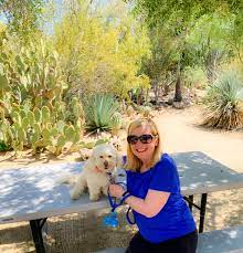 dog friendly things to do in palm desert
