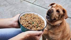easy dog food recipe with en