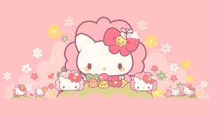 o kitty pink fl hd wallpaper by