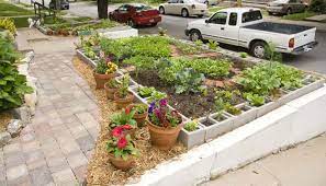 eat your yard urban food gardens