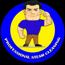 professional steam cleaning