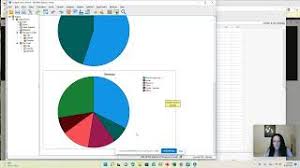 pie charts in ibm spss you