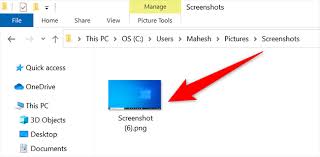 how to take a screenshot on a dell laptop