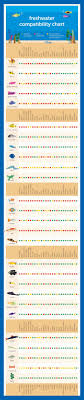 Common Betta Fish Diseases Fish Chart Tropical Fish Tanks