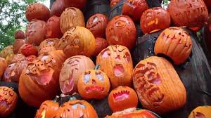 What is pumpkin patch for halloween. Pumpkin Patches Louisville Where To Pick Pumpkins In Louisville 2020