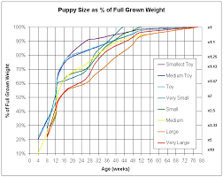 Goldendoodle Growth Chart