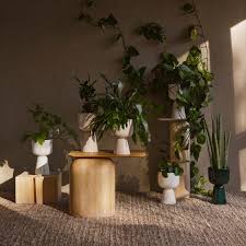 10 indoor plant stands that seriously