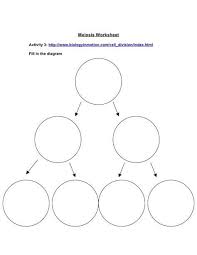 Image Result For Meiosis And Mitosis Worksheet Diagram