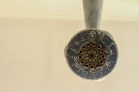 how to get rid of nasty showerhead buildup