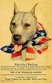 American Pit Bull Terrier Wikipedia
