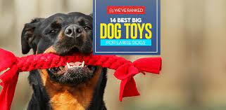 14 best big dog toys for large dogs