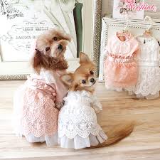 Langärmlige cocktailkleider und elegante blusen: Hunde Hochzeit Brautmode Fur Kleine Hunde Festliche Kleidung Hunde