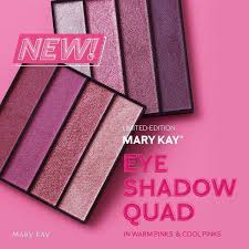 mary kay limited edition eye shadow